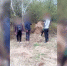 Курагинские полицейские раскрыли кражу, пойдя по пути Шерлока Холмса - Сетевое издание Среда24