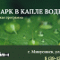 ЭКОЛОГИЧЕСКАЯ ПРОГРАММА «ЗООПАРК В КАПЛЕ ВОДЫ» - Краеведческий музей им. Н.М. Мартьянова
