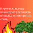 В крае в 2024 году планируют увеличить площадь мониторинга лесов - Власть Труда
