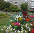 Прием заявок на конкурс  «Мой любимый город» - Власть Труда