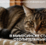 Отопительный сезон в Минусинске стартует с 12 сентября. - Администрация