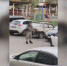 В Шарыпово задержан мужчина, гулявший с ножами по улицам - Сетевое издание Среда24