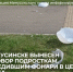 В Минусинске вынесен приговор подросткам, повредившим фонари в центре города. - Администрация