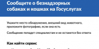 На портале «Госуслуги» можно уведомить о безнадзорном животном. - Администрация