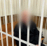 Экс-министра тарифной политики Красноярского края отправили в СИЗО до 5 июня - Сетевое издание Среда24